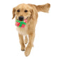 BARK Howly Jowly Holidays Advent Calendar for Dogs